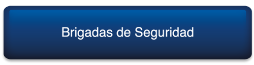 Brigadas de Seguridad