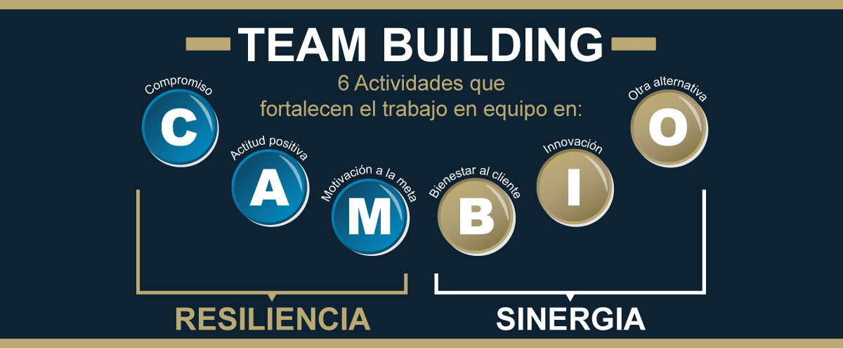 Sinergia, Resiliencia, Cambio
